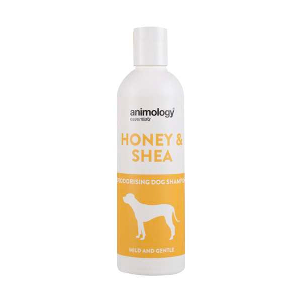 Animology Essenstials Honey Shampoo 250ml