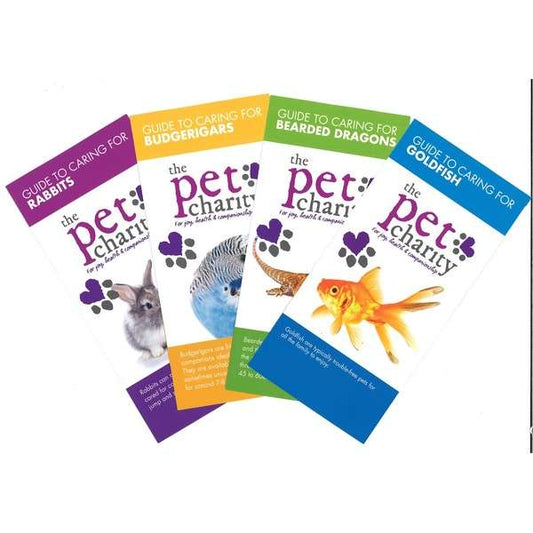 The Pet Charity Guide To Dog Training & Socialisation
