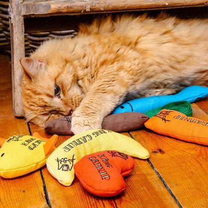 King Catnip Goldie Cat Toy