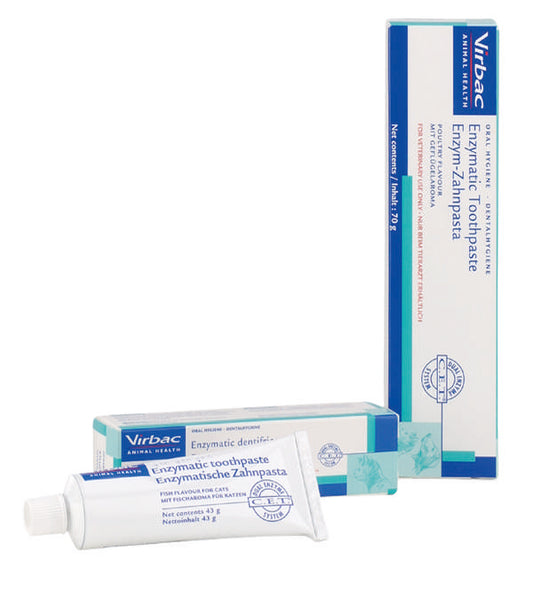 Enzymatic Toothpaste Fish