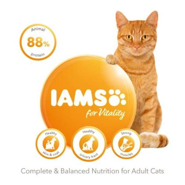 Iams Cat For Vitality Adult Cat Food With Ocean Fish Adult Cats