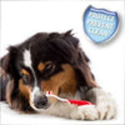 Beaphar Dental Kit Dog & Cat 100g